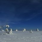 Auf der Grindeflläche (Hornisgrinde im Nordschwarzwald 1164m)