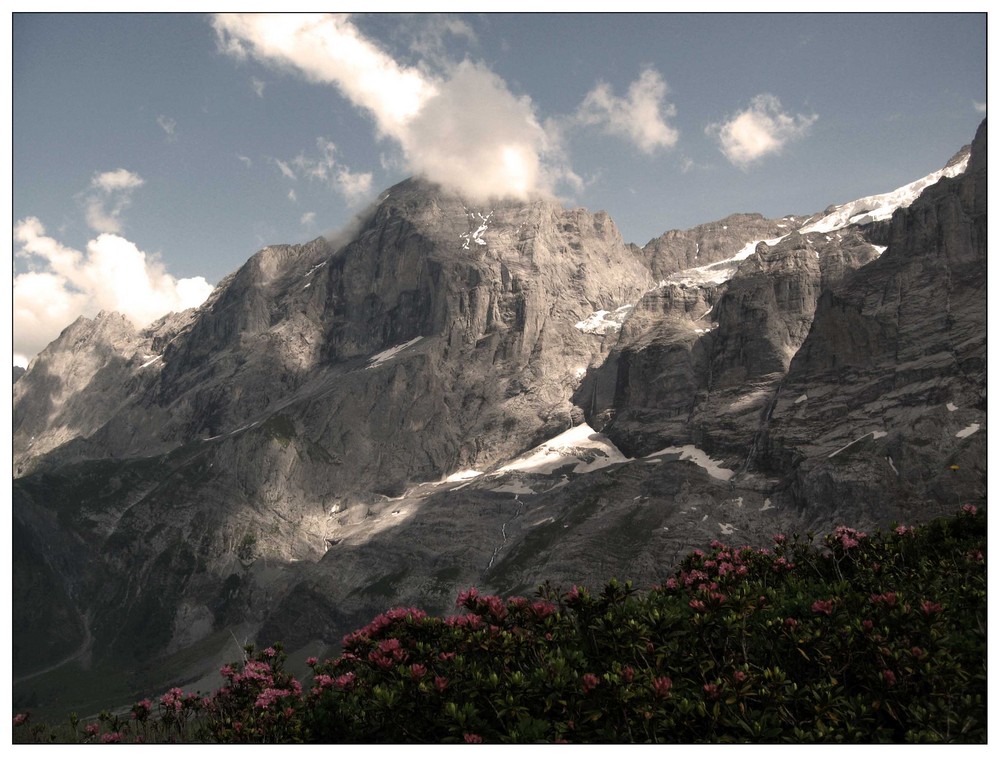 Auf der grossen Scheidegg ob Grindelwald