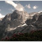 Auf der grossen Scheidegg ob Grindelwald