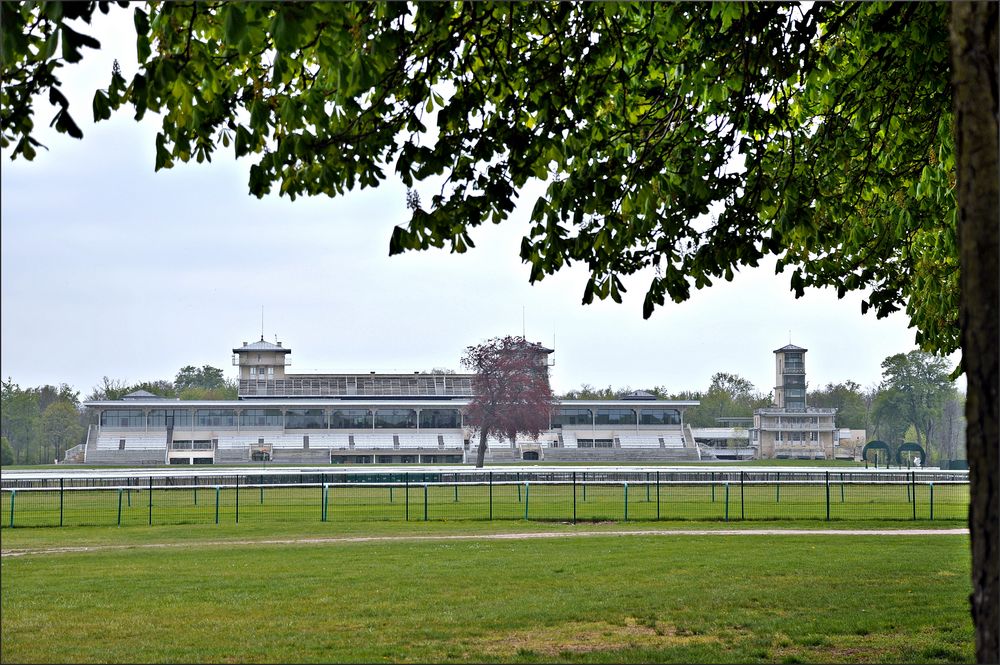 Auf der Großen Wiese von Chantilly