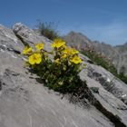 Auf der Grubachspitze