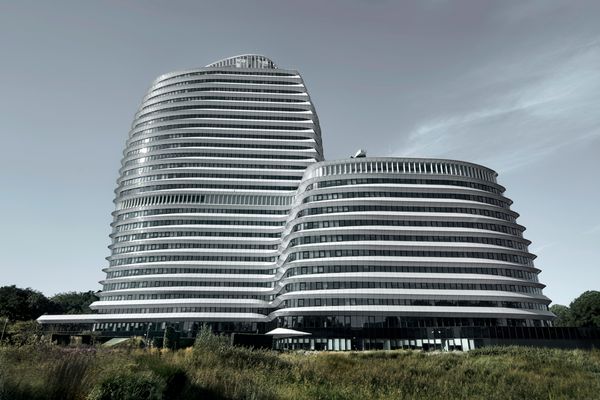 Auf der grünen Wiese