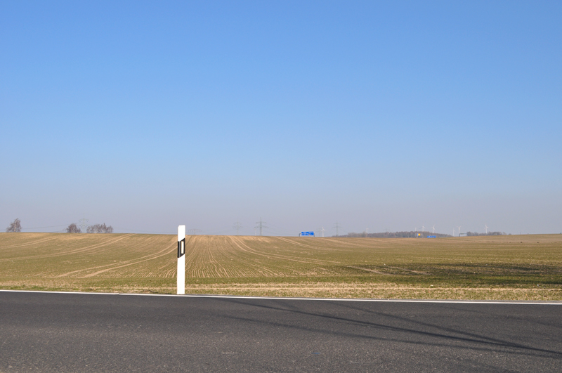 Auf der grünen Wiese... 4