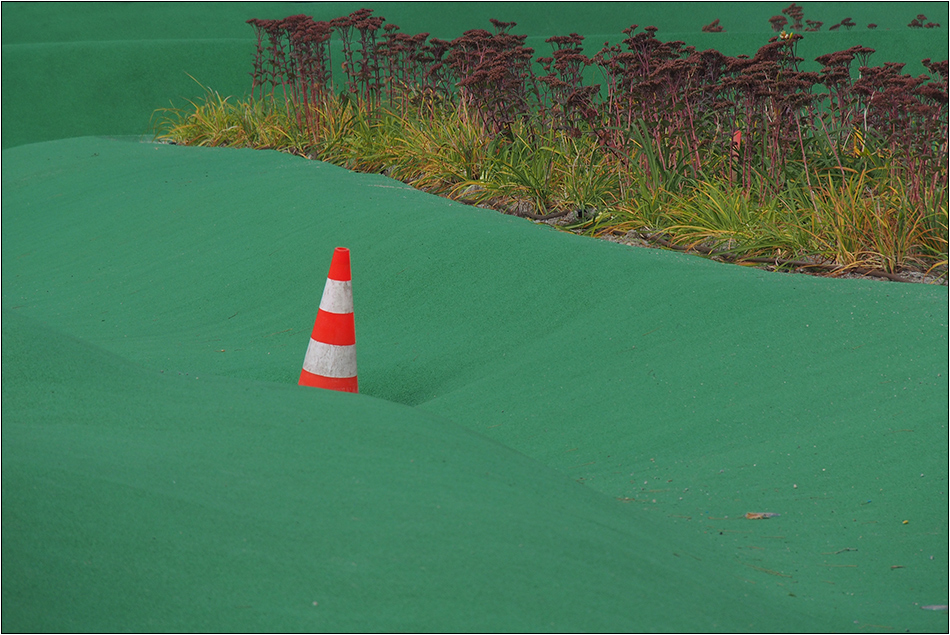 Auf der grünen Wiese ...