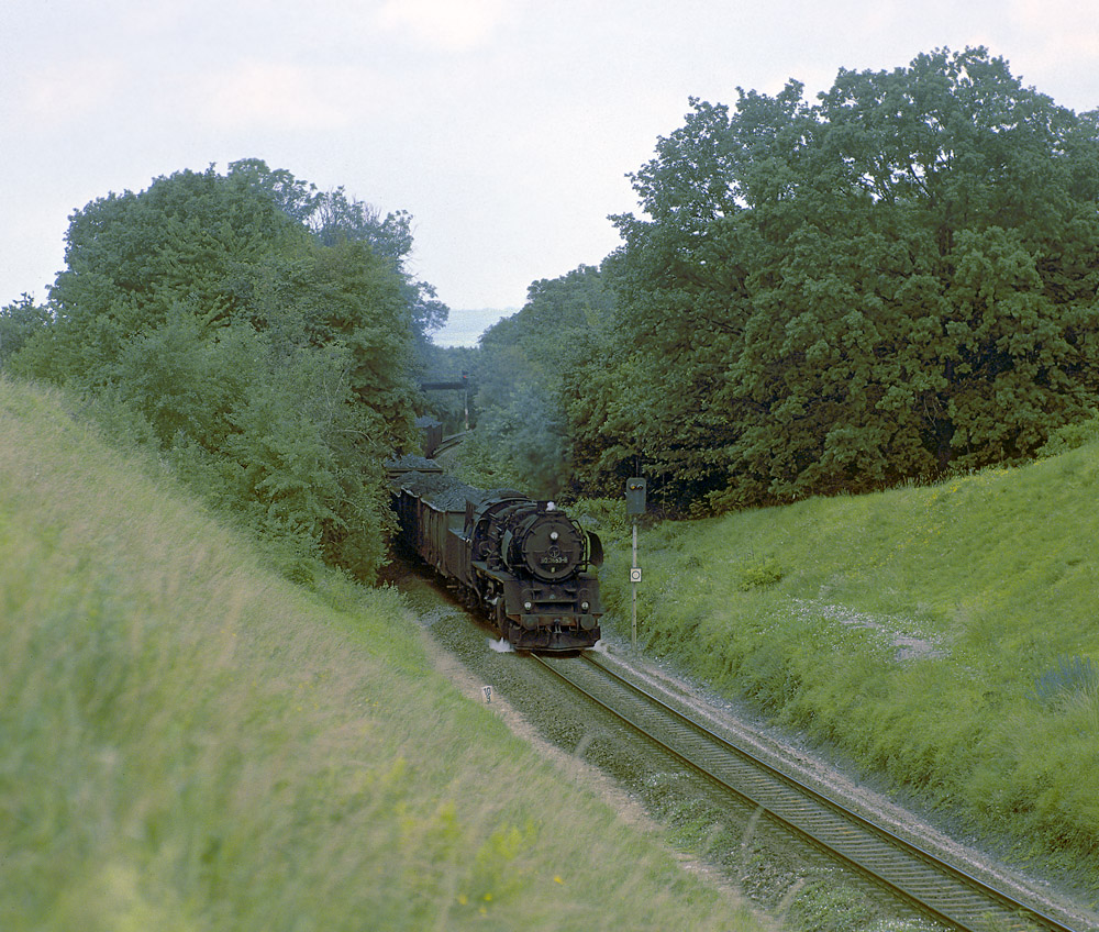 Auf der grünen Wiese