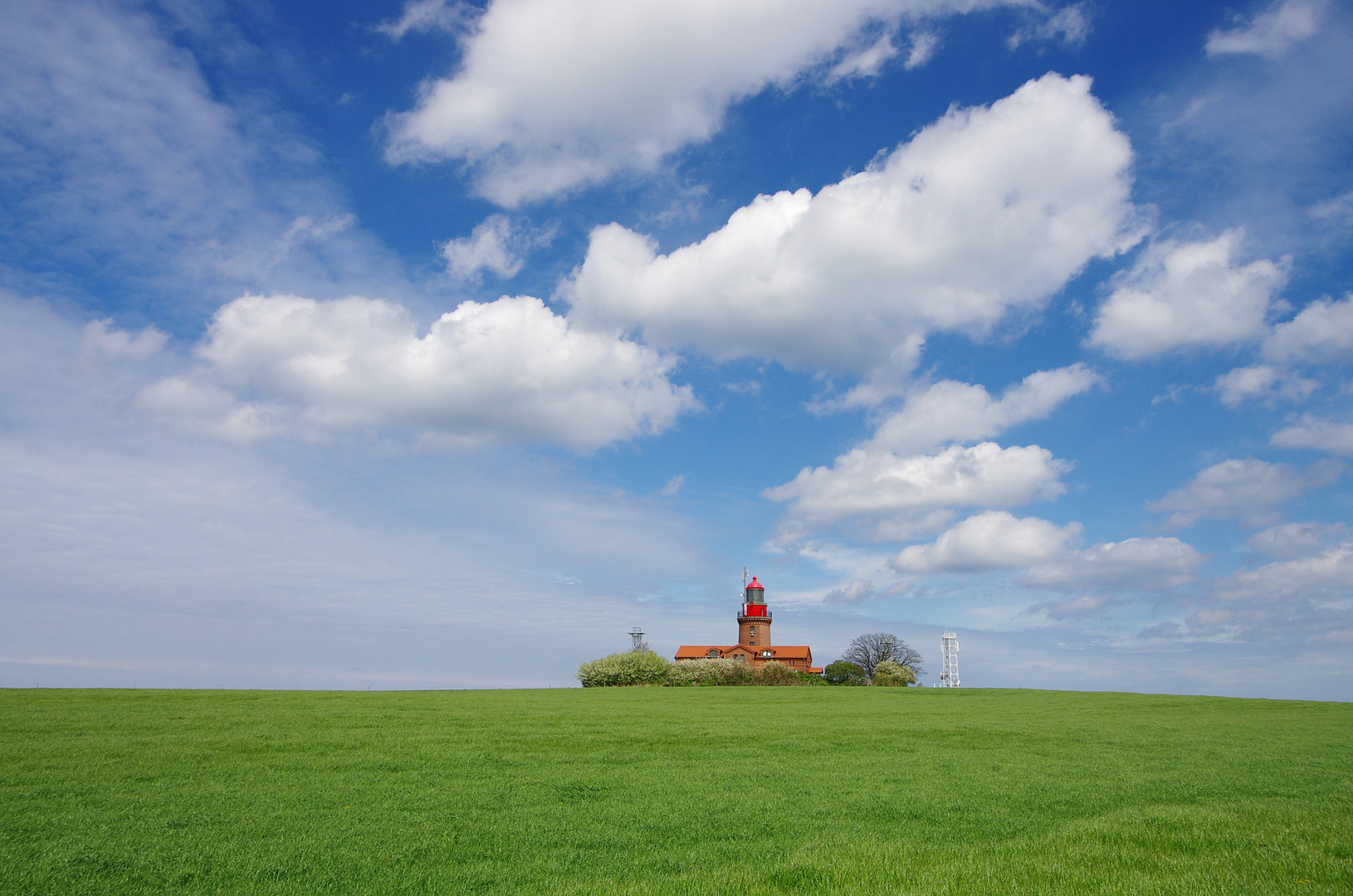 Auf der grünen Wiese