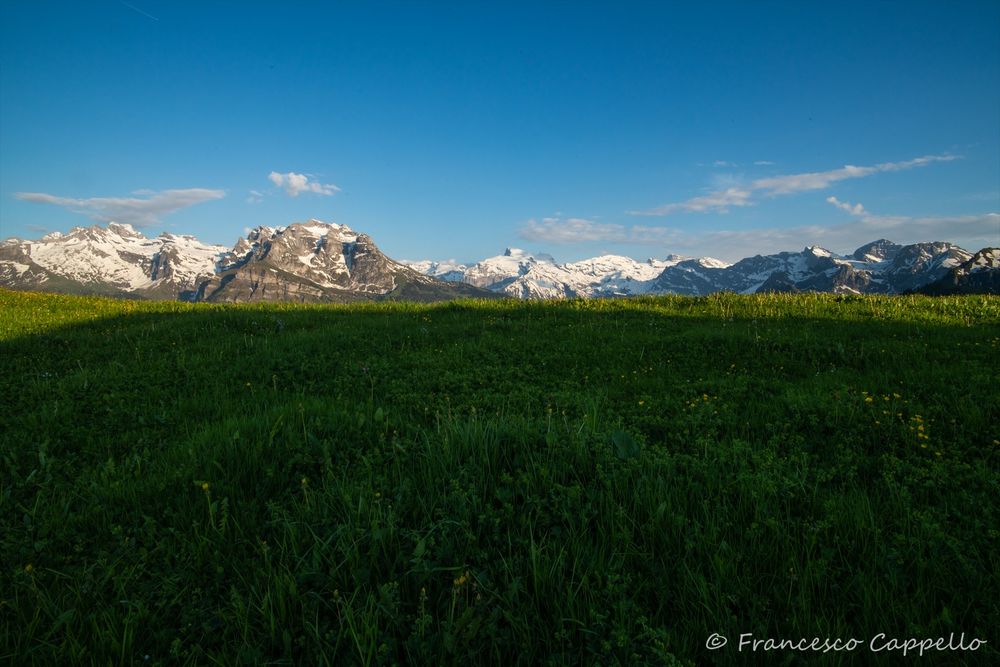 auf der Gummenalp