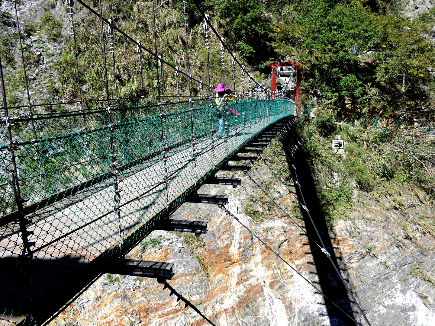 auf der Hängebrücke