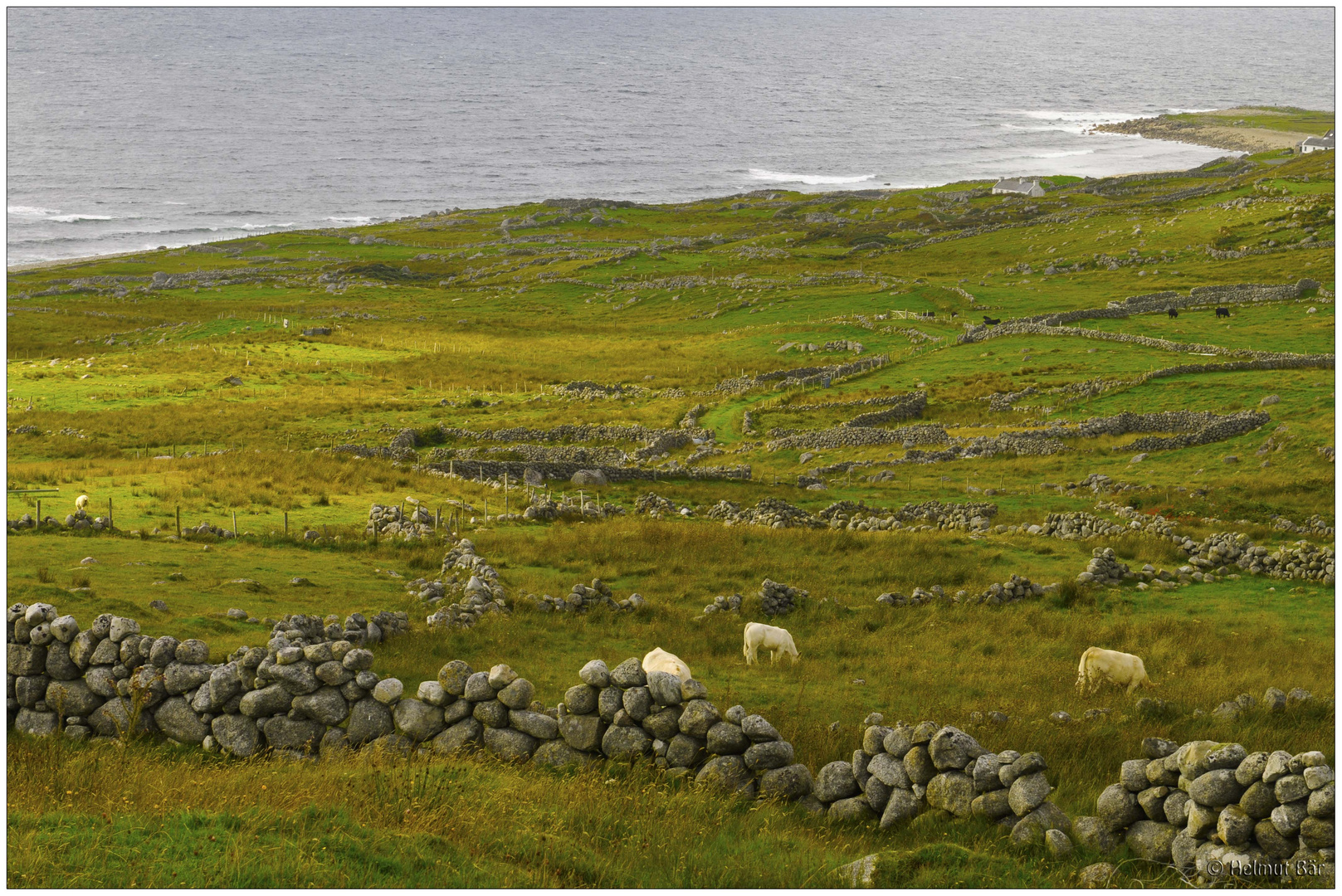 Auf der Halbinsel Gweedore bei Bloody