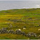 Auf der Halbinsel Gweedore bei Bloody