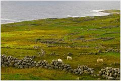 Auf der Halbinsel Gweedore bei Bloody