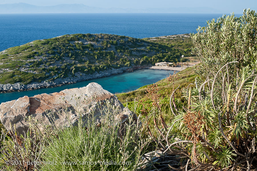 Auf der Halbinsel Nisi / Samos 2011