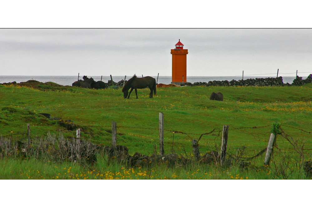 Auf der Halbinsel Reykjanäs