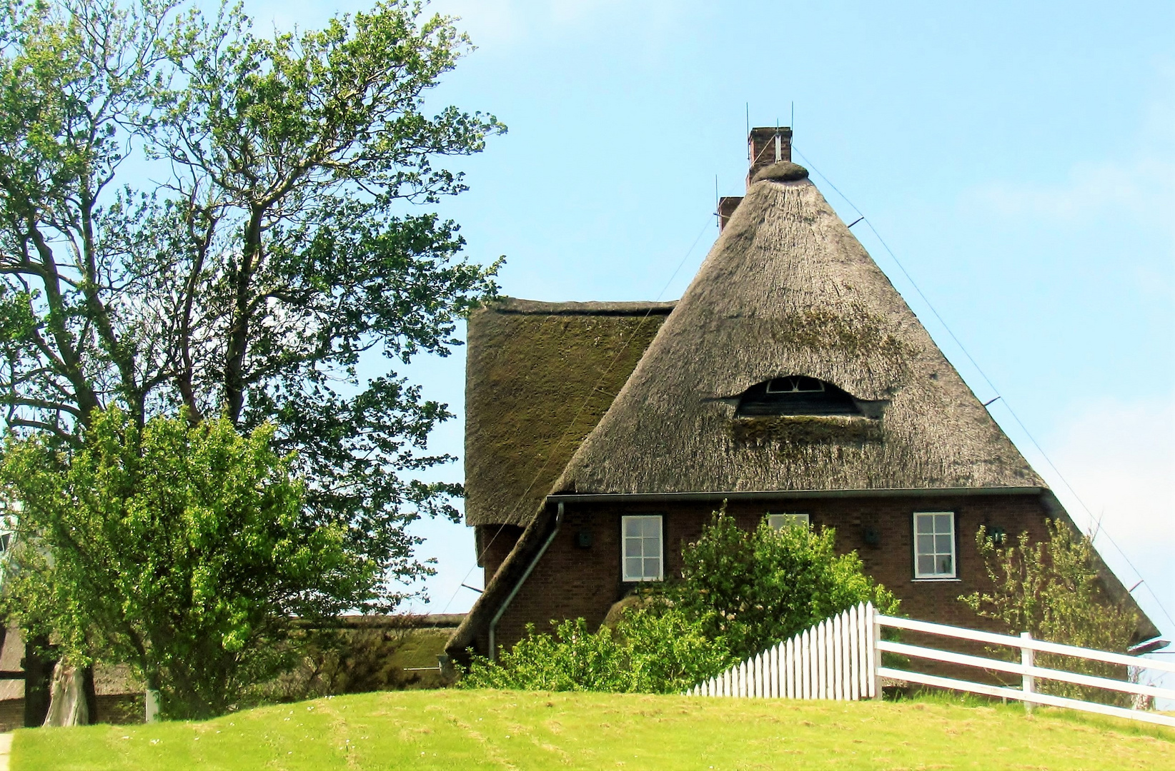 Auf der Hallig