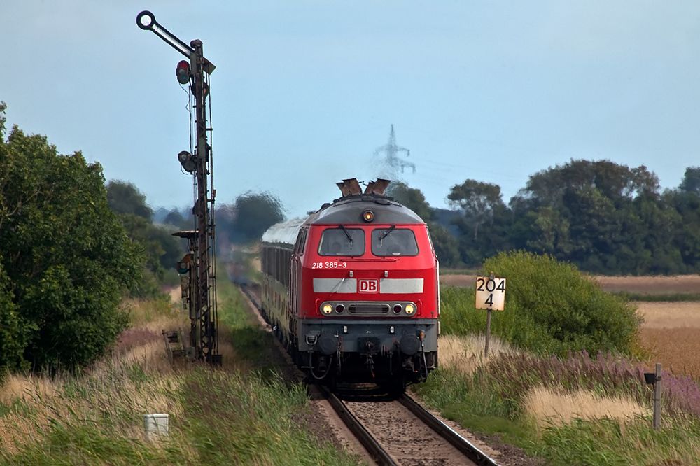 Auf der Hallig.