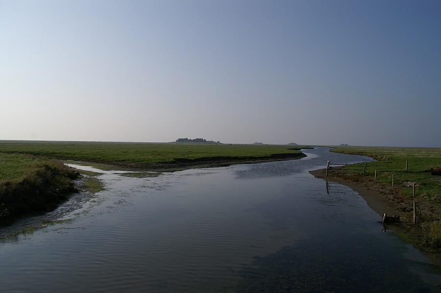 Auf der Hallig Hooge