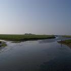 Auf der Hallig Hooge