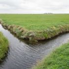 auf der Hallig I