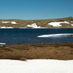 auf der Hardangervidda