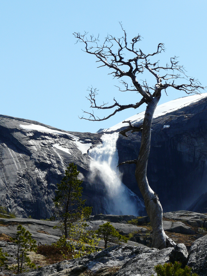 auf der hardangervidda