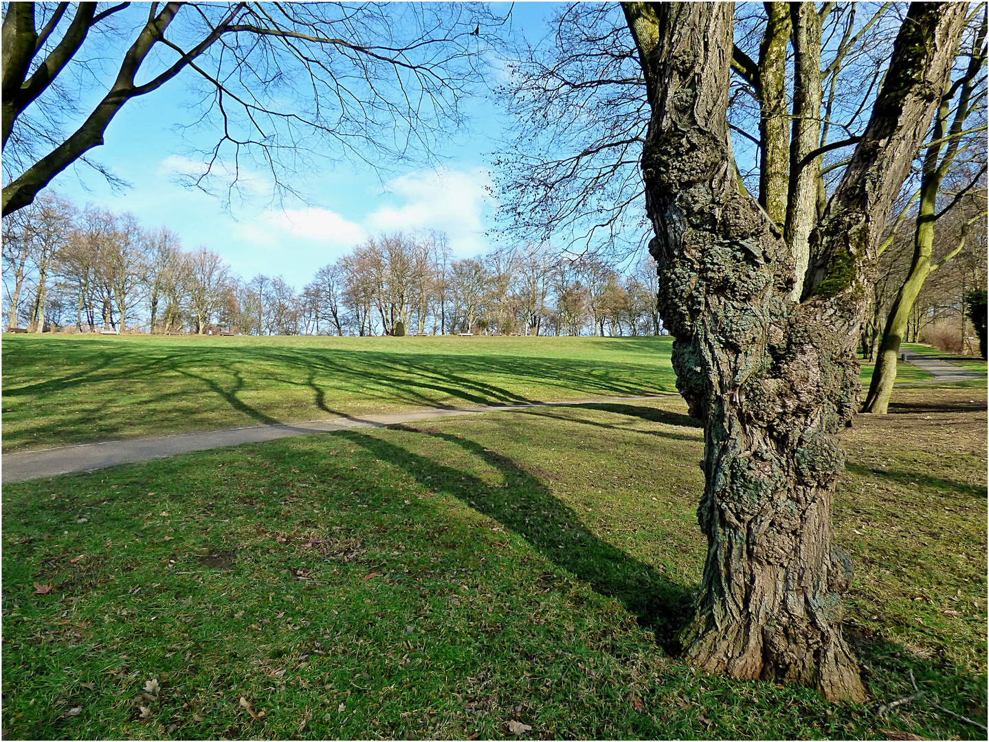 Auf der Hardt in Wuppertal