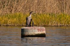 Auf der Havel um Werder