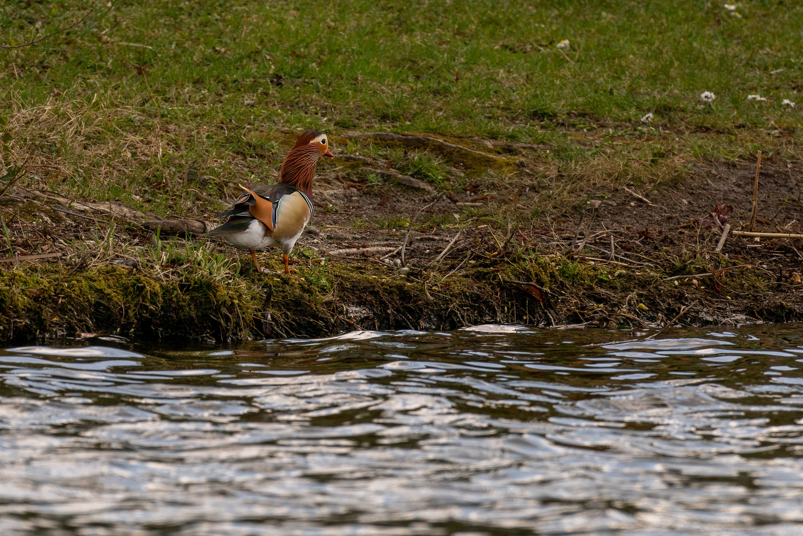 Auf der Havel um Werder