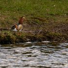 Auf der Havel um Werder