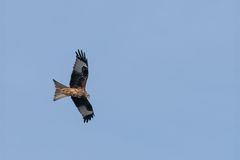 Auf der Havel um Werder