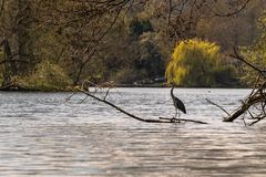 Auf der Havel um Werder