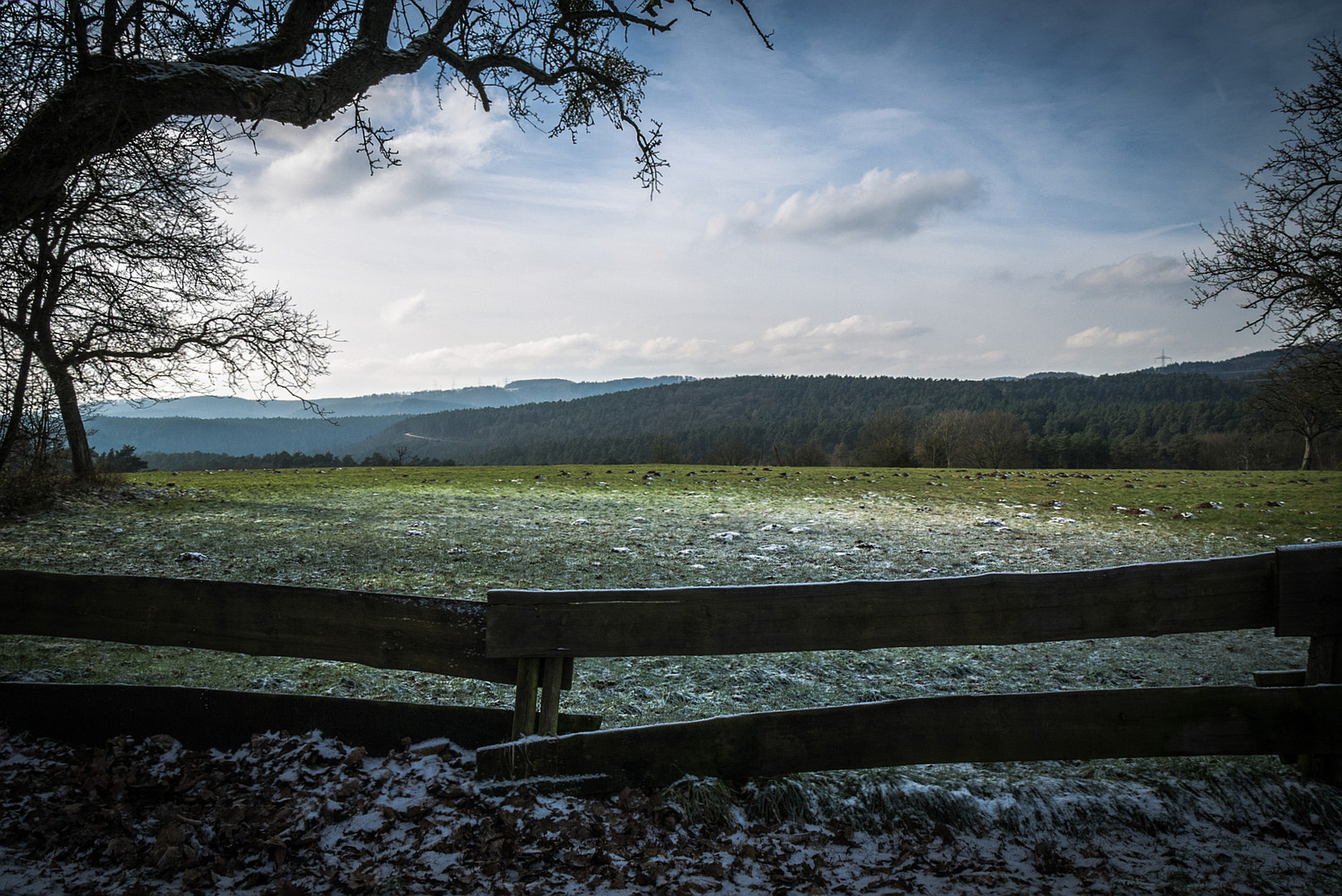 Auf der Heide...