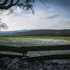 Auf der Heide...