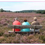 AUF DER HEIDE BLÜH'N AUCH GROSSE BLUMEN