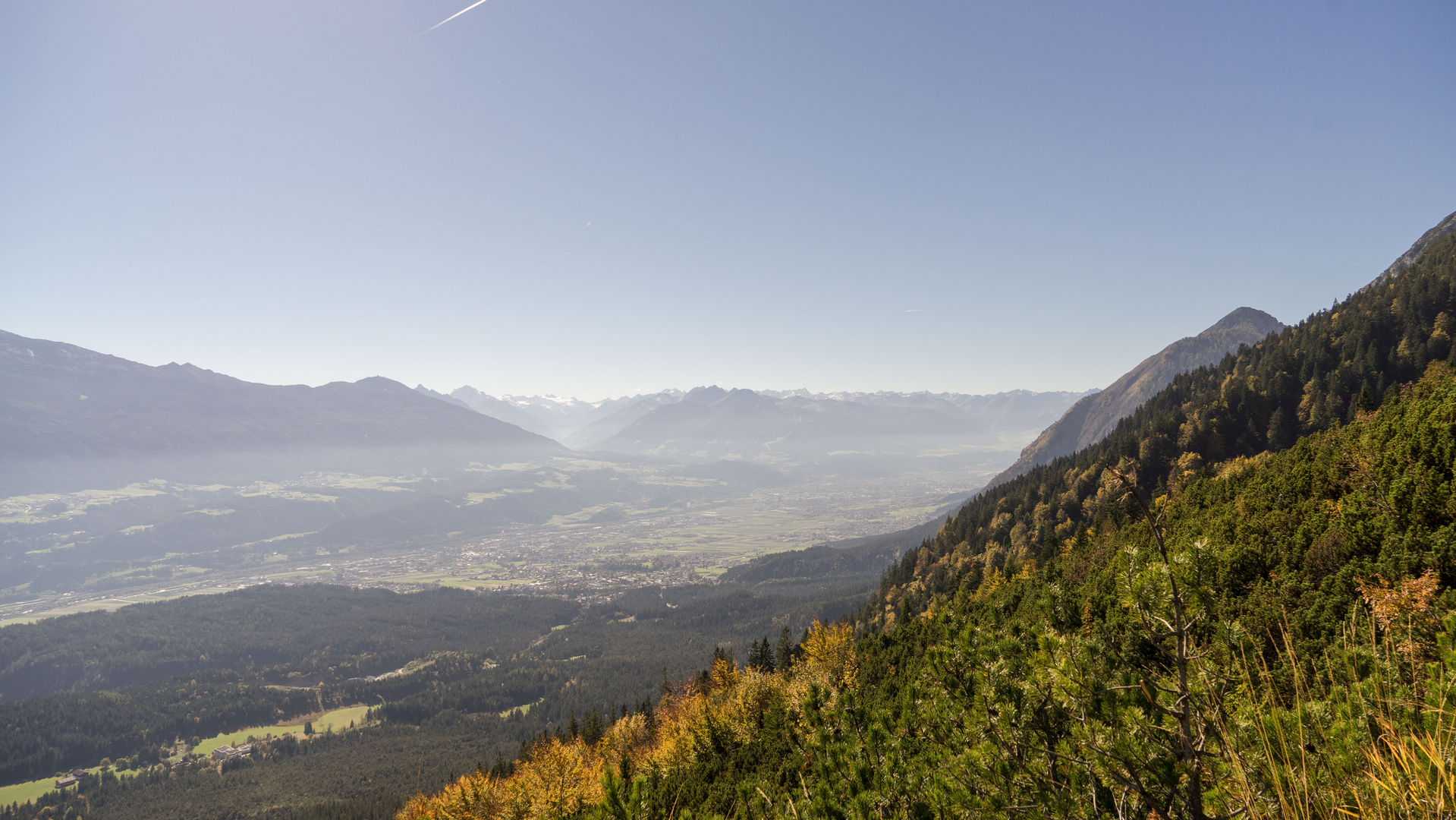 Auf der Hinterhornalm in Tirol