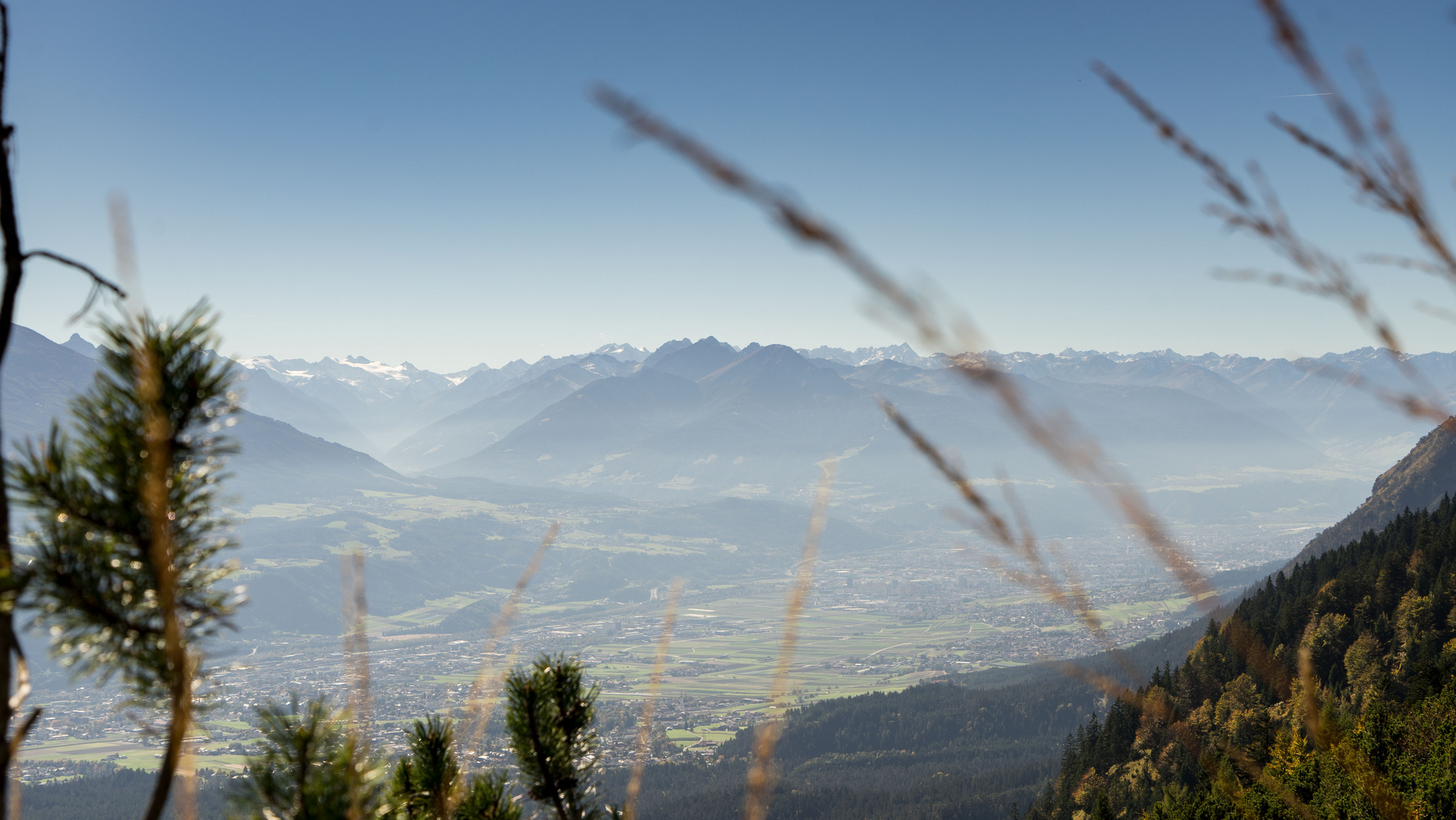 Auf der Hinterhornalm in Tirol