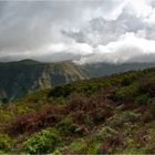 Auf der Hochebene Paul da Serra ...