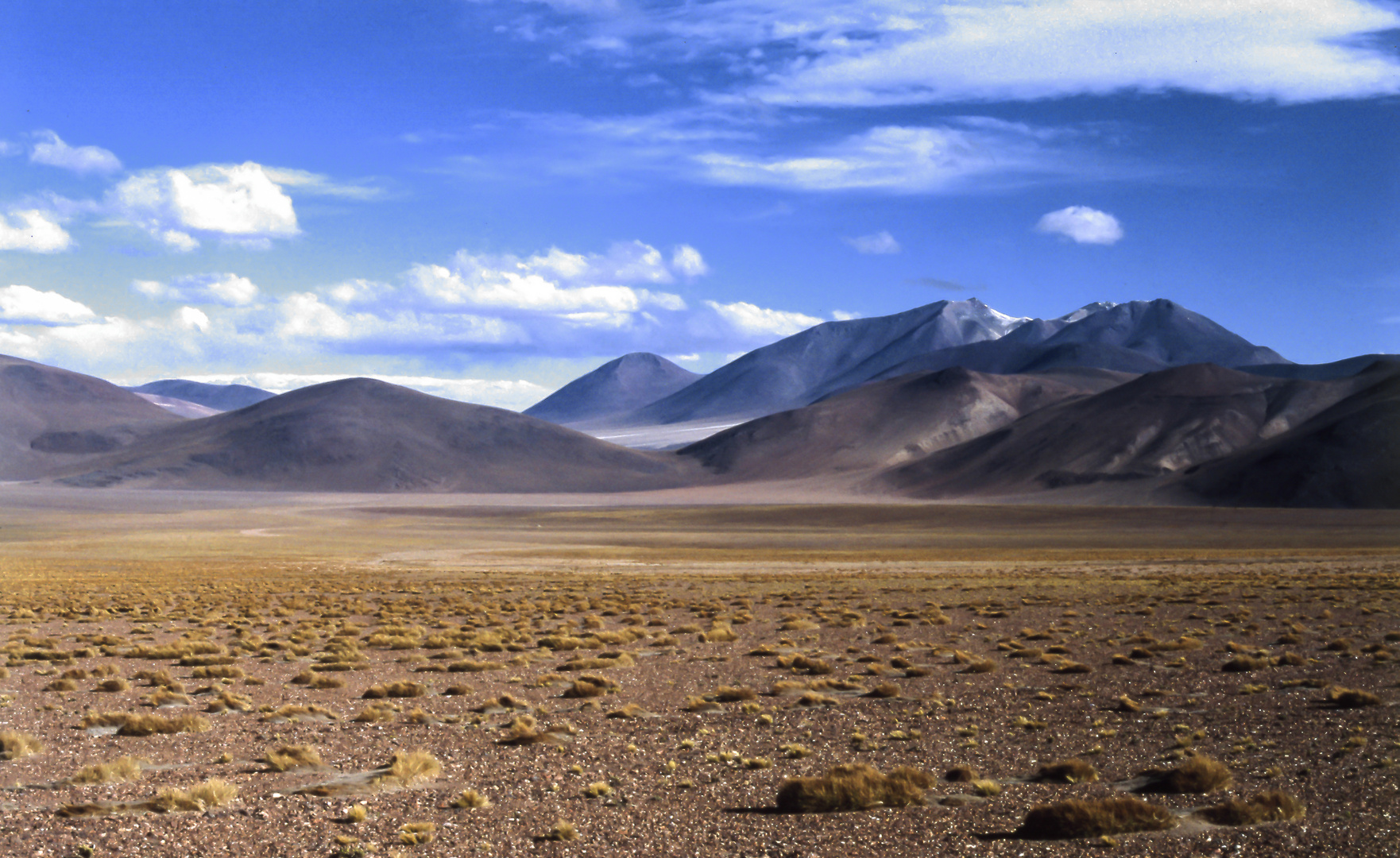 auf der Hochebene von Atacama 2