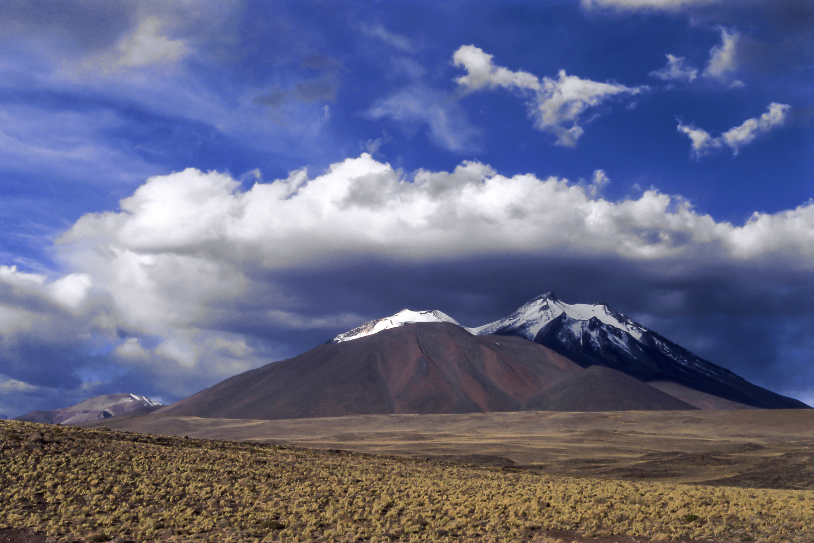 auf der Hochebene von Atacama 3