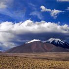 auf der Hochebene von Atacama 3