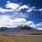 auf der Hochebene von Atacama