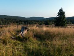 Auf der Hochheide