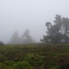 Auf der Hochheide bei Winterberg