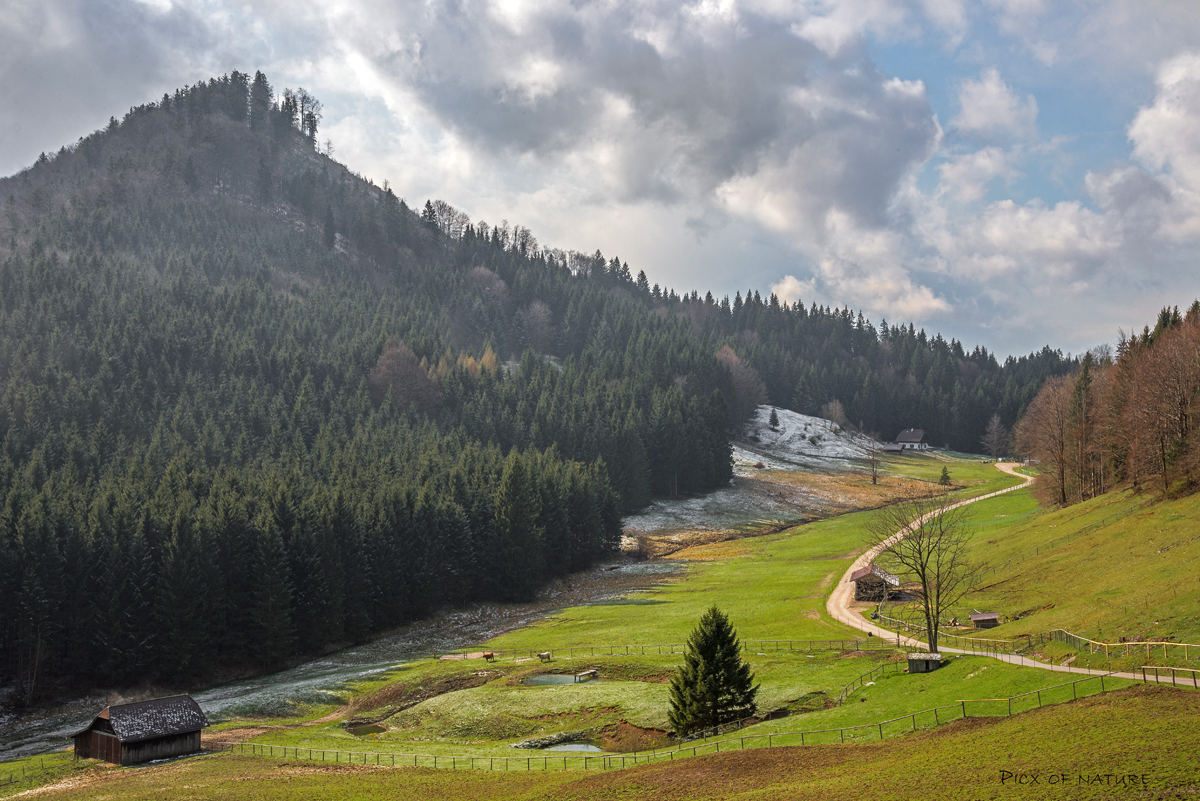 auf der Hochsteinalm