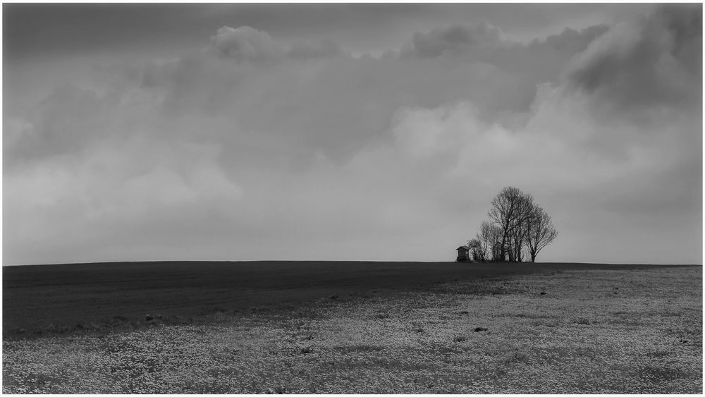 Auf der Höhe Foto & Bild landschaft, Äcker, felder & wiesen