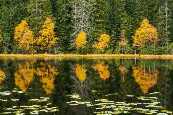Auf der Höhe beginnt der Herbst