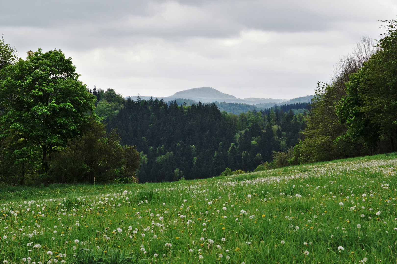 auf der Höhe