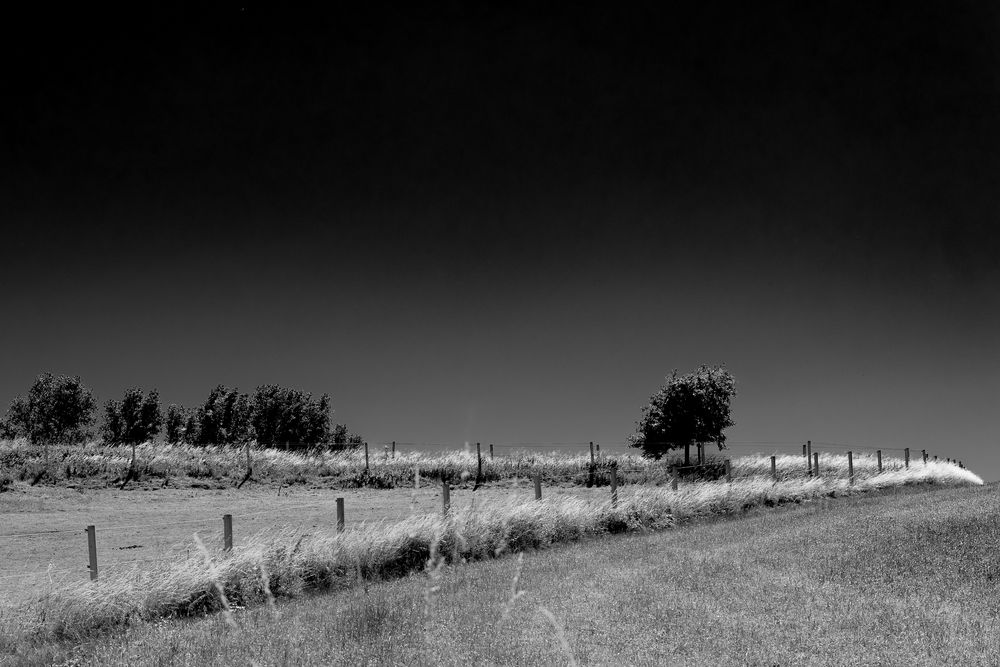 Auf der Höhe Foto & Bild world, deutschland, europe Bilder auf