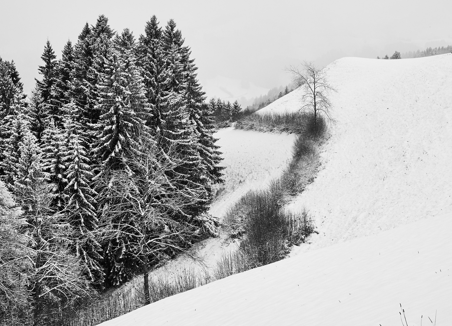 Auf der Hohen Buche