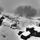 auf der Hohen Geba in der Rhön