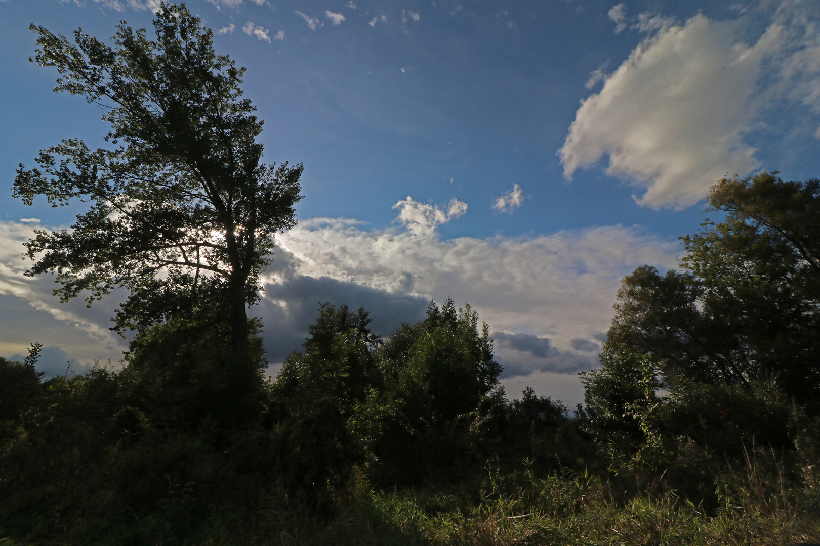 Auf der Hohenröder Wiese